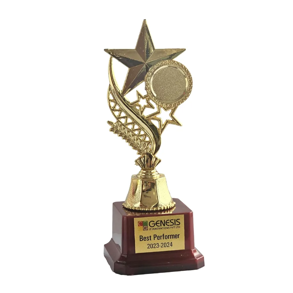 Trophy for corporate